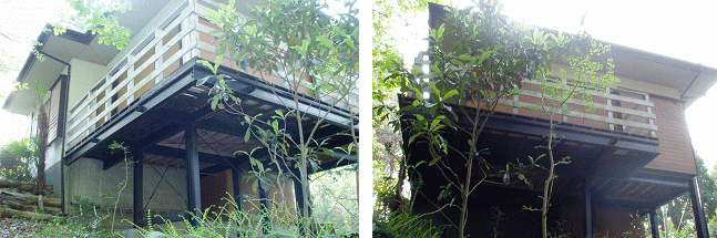 �O�\�G�N�X�e���A����A�摜